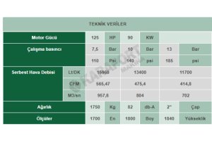 VEK 125 İnvertörlü Vidalı Kompresör